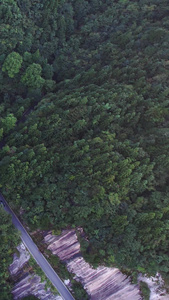 航拍5A安徽天堂寨风景区白马大峡谷与盘山公路全景视频旅游度假视频