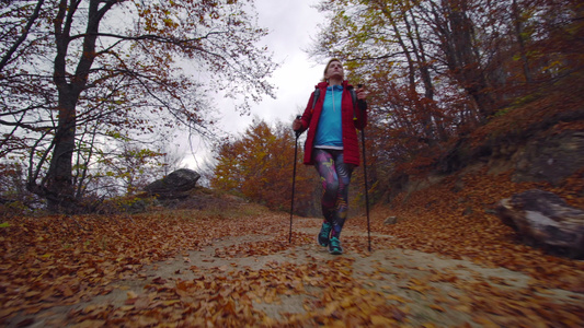 带着杆子和背包走在土路上或小路上的徒步旅行女孩在秋季视频