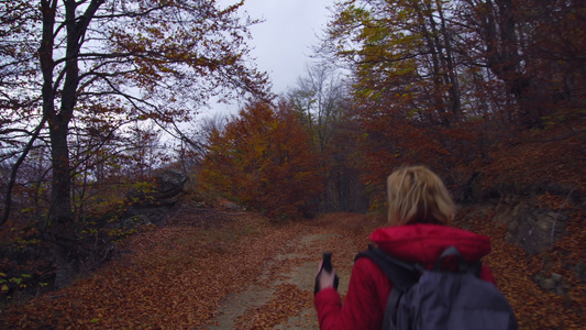 带杆子和背包的徒步女孩在泥土路或小路上行走背影秋天视频