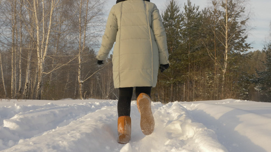 快乐的女孩在雪林中行走在寒冷的白昼后视线下视频