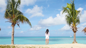 在海边的年轻女子在狂喜节度假期间站在反古阿岛棕榈树12秒视频