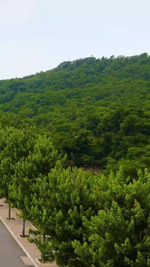 航拍青山上的信仰寺庙绿水青山122秒视频