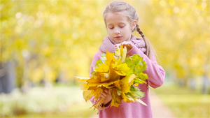 在美丽的秋天用黄色和橙色叶子在户外布束花束画出可爱19秒视频