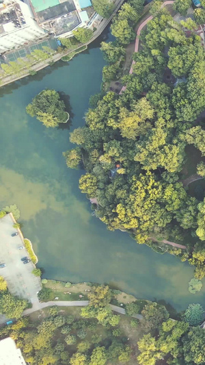 航拍风光城市春天的中心公园绿色的园林植物景观素材城市素材36秒视频