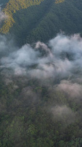 鳌山瀑布云视频