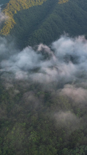 鳌山瀑布云3秒视频