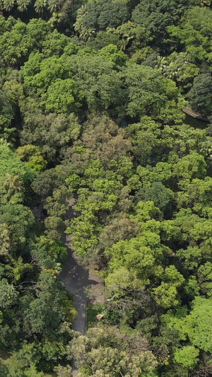 高清航拍广州越秀山五羊石雕羊城由来越秀山公园37秒视频