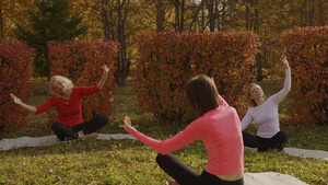妇女团体在秋季公园冥想瑜伽练习在公园户外锻炼的女性21秒视频