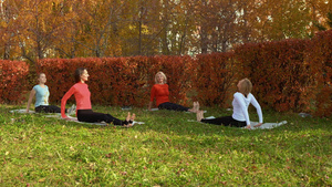 秋季公园瑜伽地毯上的女性团体训练伸展运动在色彩缤纷14秒视频