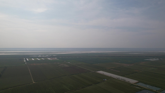 航拍黄河滩涂黄河大鲤鱼养殖基地黄河海岸线视频