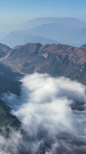 高清竖屏航拍云南昭通大山包云海自然风光视频