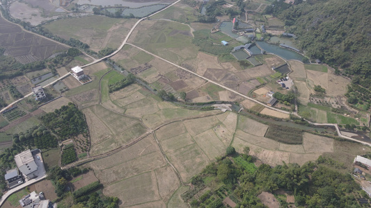 农业种植农田航拍视频[种殖]视频