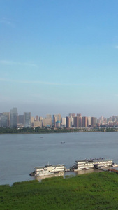 航拍城市蓝天白云晴朗天空自然天气地标建筑天际线高楼长江江景素材天际线素材视频
