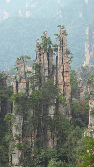 航拍湖南5A级旅游景区张家界国家森林公园武陵源天子山笔架峰风光素材景区素材55秒视频