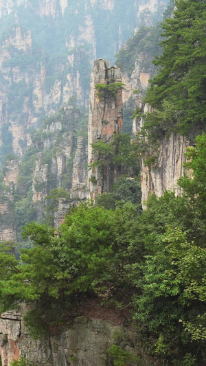 航拍湖南5A级旅游景区张家界国家森林公园武陵源天子山笔架峰风光素材5A级景区55秒视频