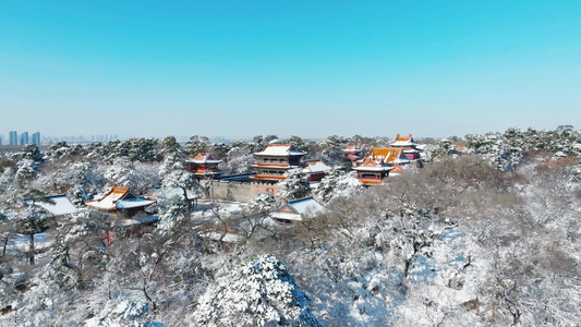 航拍沈阳东陵冬季雪景视频