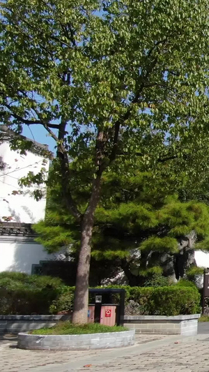 航拍安徽5A级旅游景区鲍家花园视频合集安徽旅游78秒视频