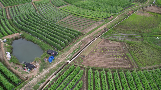 农田农业种植航拍视频
