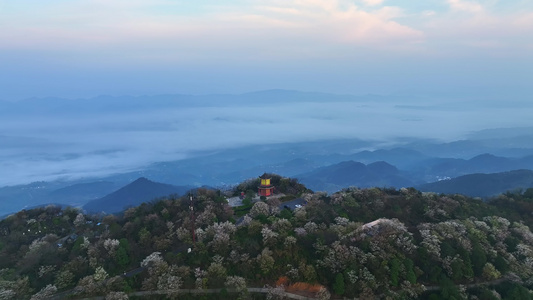 重庆云龟山樱花航拍视频