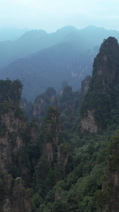 航拍湖南5A级旅游景区张家界杨家溪自然风光素材景区素材视频