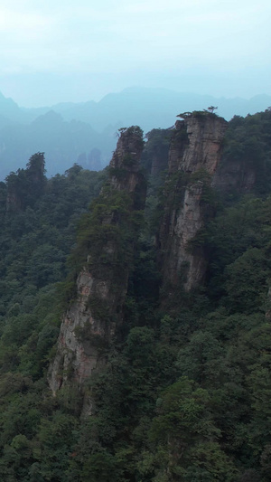 航拍湖南5A级旅游景区张家界杨家溪自然风光素材景区素材57秒视频