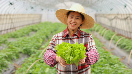 农民大婶拿着生菜视频