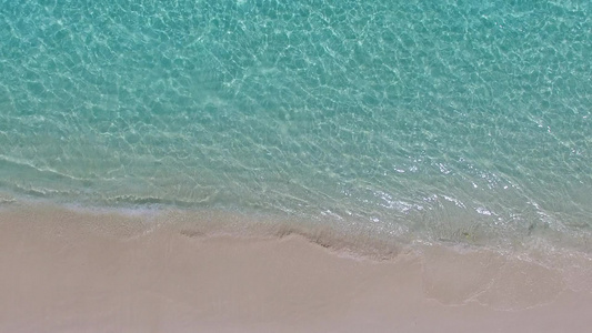 棕榈树附近白沙背景的蓝色泻湖热带度假海滩野生动物的视频