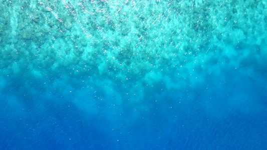 以棕榈附近的白沙背景的蓝海视频