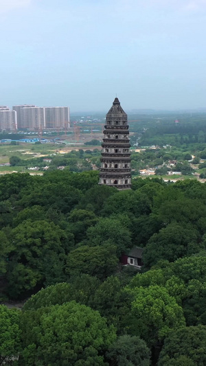 苏州地标虎丘塔风景区55秒视频