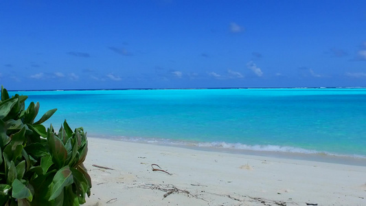 光照下白沙底浅海的海滩探险之旅日光中白沙本背景视频