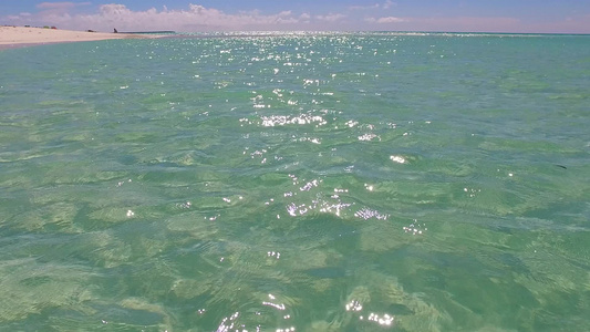 在棕榈附近有清洁沙土背景的蓝色海边热带海岸海滩时间视频