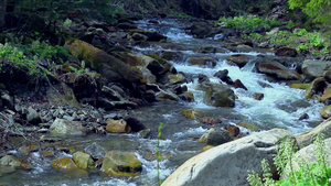 小山河岩石和树木之间流淌的风景22秒视频