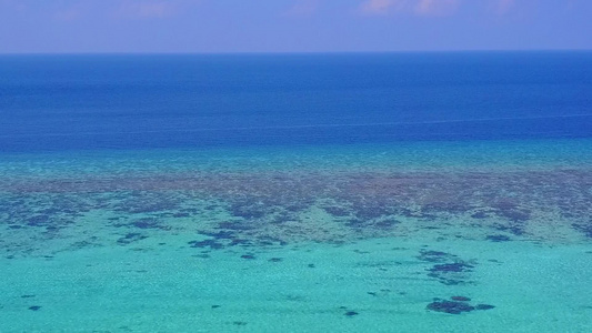 蓝海和棕榈附近白沙背景的野生生物海洋与棕榈视频