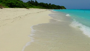 椰树林沙滩海滩海滨度假胜地14秒视频