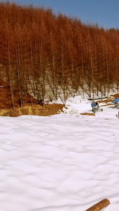 滑雪场的滑雪道冬季运动视频