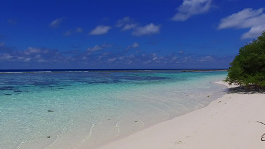 蓝色环礁湖和日出后白色沙滩背景的美丽海岸海滩野生生物视频