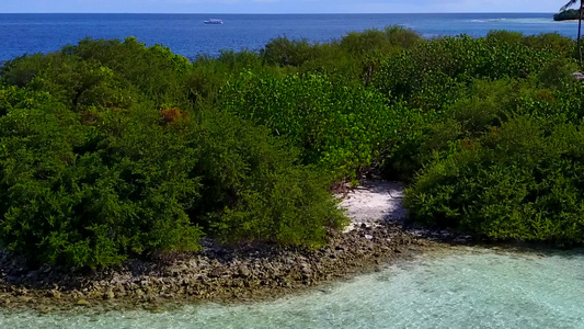 蓝海白沙背景下的热带海滨海滩野生动物阳光旅游视频