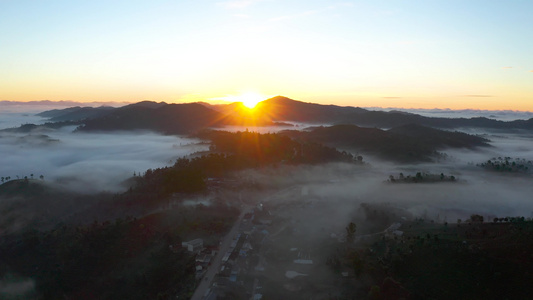 茶山茶园云海日出云雾航拍视频