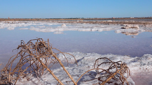 黑海河口底和河口岸的自降盐表盐晶体表盐水晶27秒视频