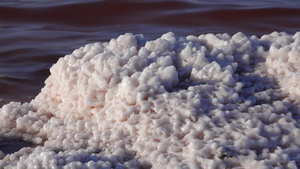 河口黑海盐晶体覆盖盐湖岸边的石头34秒视频