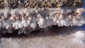 河口黑海盐晶体覆盖盐湖岸边的石头13秒视频