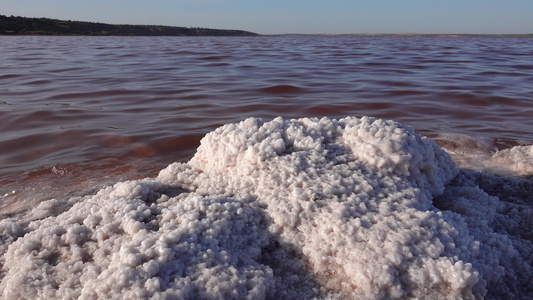 Kuyalnik河口黑海盐晶体覆盖盐湖岸边的石头视频