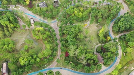 航拍郑州金水市民公园城市绿色植被健康步道视频