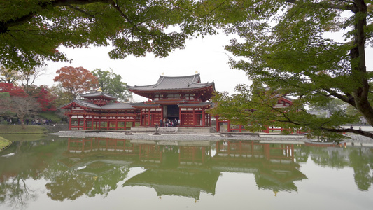 有秋叶的寺庙乌吉市京都雅潘视频