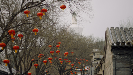 北京街头节日红灯笼01日景空镜视频