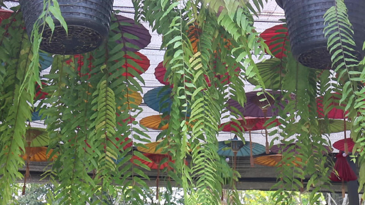 郊区咖啡厅的自然放松环境环境视频