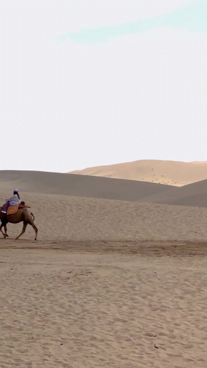 【旅游宣传片】实拍甘肃张掖丹霞国家地质公园合集丹霞地貌72秒视频