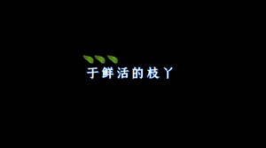  歌曲卡拉ok字幕pr模板21秒视频