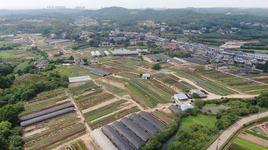 航拍农业农田种植基地视频