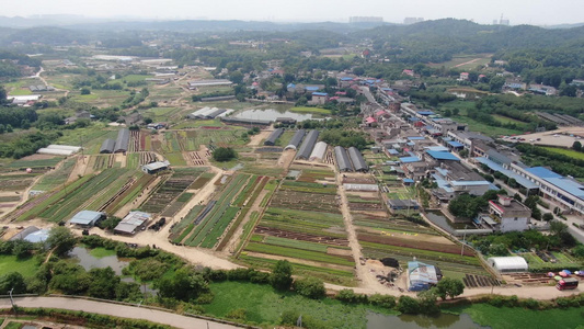 航拍农业农田种植基地视频